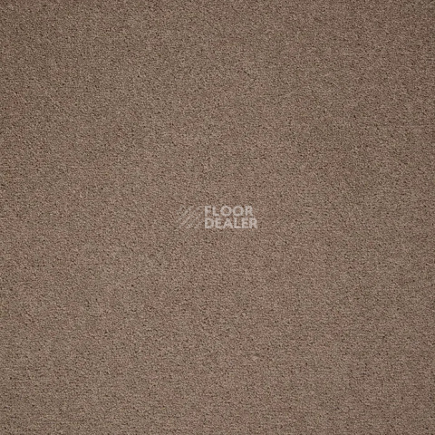 Haima Noble 99 фото 15 | FLOORDEALER
