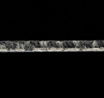 Beach 2011-11 фото 3 | FLOORDEALER