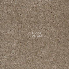 Ковролин AW Illusion 31 фото 1 | FLOORDEALER