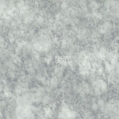 Линолеум Novoflor Standard 3100_31 фото 1 | FLOORDEALER