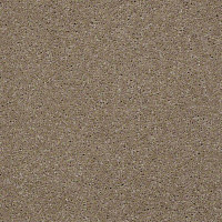 Shaw Design Texture Platinum 770 фото 1 | FLOORDEALER