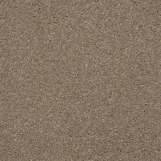 Shaw Design Texture Platinum 770 фото 1 | FLOORDEALER