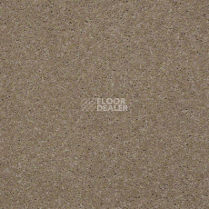 Ковролин Shaw Design Texture Platinum 770 фото 1 | FLOORDEALER