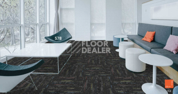 Standard Carpets LAX 578 фото 2 | FLOORDEALER