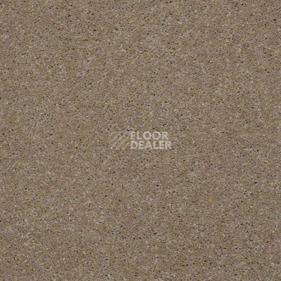 Ковролин Shaw Design Texture Platinum 770 фото 1 | FLOORDEALER