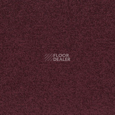 Ковровая плитка Desso Palatino 2121 фото 1 | FLOORDEALER