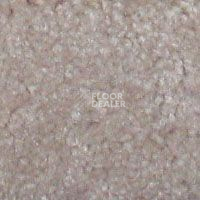 Ковролин Hidden Treasure Beaulie of America Cameo Beige 30 фото 1 | FLOORDEALER