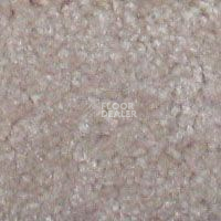 Ковролин Hidden Treasure Beaulie of America Cameo Beige 30 фото 1 | FLOORDEALER