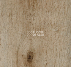 Кварцвиниловые полы Forbo allura decibel 0.8 wood 5103AD8 golden harvest oak (100x16.6 cm) фото 1 | FLOORDEALER