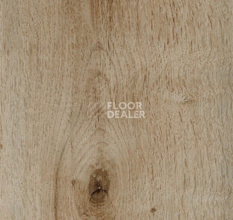 Кварцвиниловые полы Forbo allura decibel 0.8 wood 5103AD8 golden harvest oak (100x16.6 cm) фото 1 | FLOORDEALER