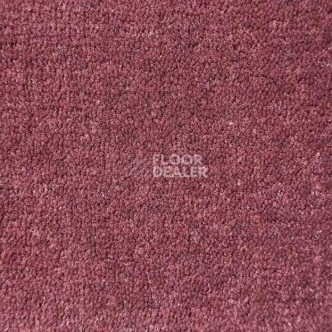 Ковролин Big Caresse 650 фото 1 | FLOORDEALER