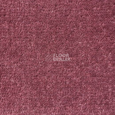 Ковролин Big Caresse 650 фото 1 | FLOORDEALER