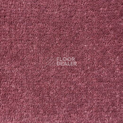 Ковролин Big Caresse 650 фото 1 | FLOORDEALER