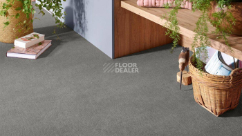 Vorwerk Superior 1072/Nutria Comfort Vorwerk 5x67 фото 2 | FLOORDEALER