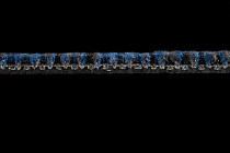 Escom Coral 5408 фото 4 | FLOORDEALER