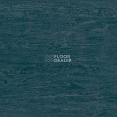 Линолеум Tarkett Horizon 003 фото 1 | FLOORDEALER