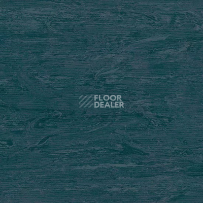 Линолеум Tarkett Horizon 003 фото 1 | FLOORDEALER
