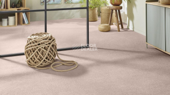 Vorwerk Superior 1065/Viola Vorwerk 1n47 фото 2 | FLOORDEALER