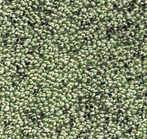 Ковролин AW Dakota 20 фото 1 | FLOORDEALER