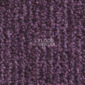 Ковролин Balsan Delice Delice 890 фото 1 | FLOORDEALER