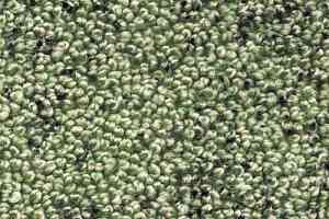 Ковролин AW Dakota 20 фото  | FLOORDEALER