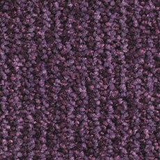 Ковролин Balsan Delice Delice 890 фото 1 | FLOORDEALER