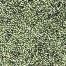 Ковролин AW Dakota 20 фото 1 | FLOORDEALER