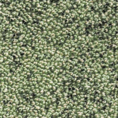 AW Dakota 20 фото 1 | FLOORDEALER