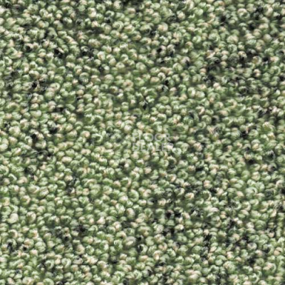 Ковролин AW Dakota 20 фото 1 | FLOORDEALER