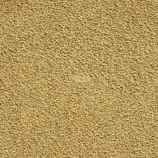 ITC Natural Luxury Flooring Bellagio Bellagio 50 фото 1 | FLOORDEALER