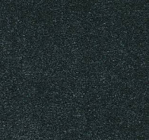 Ковролин AW Sauvage 74 фото 1 | FLOORDEALER