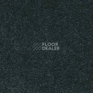 Ковролин AW Sauvage 74 фото 1 | FLOORDEALER