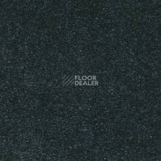 Ковролин AW Sauvage 74 фото 1 | FLOORDEALER