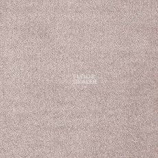 Ковролин AW The Velvet Ourania 45 фото 1 | FLOORDEALER