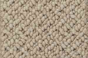 Ковролин Creatuft Titan 5 Dune фото  | FLOORDEALER