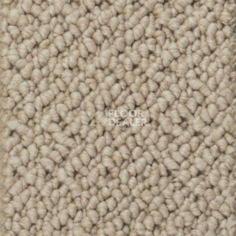 Ковролин Creatuft Titan 5 Dune фото 1 | FLOORDEALER