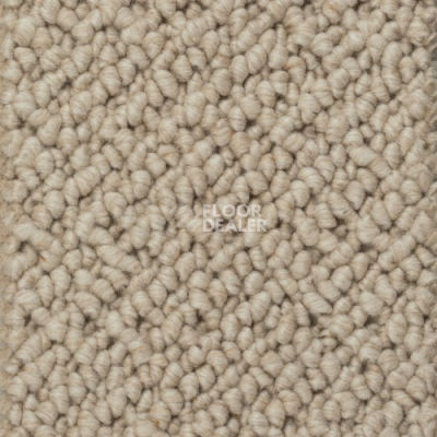 Ковролин Creatuft Titan 5 Dune фото 1 | FLOORDEALER