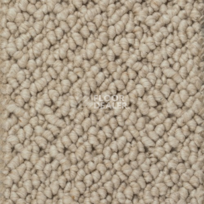 Ковролин Creatuft Titan 5 Dune фото 1 | FLOORDEALER