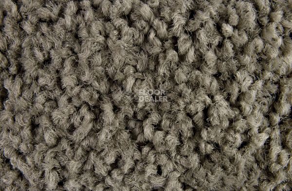 ColorKey ColorKey 06 фото 2 | FLOORDEALER