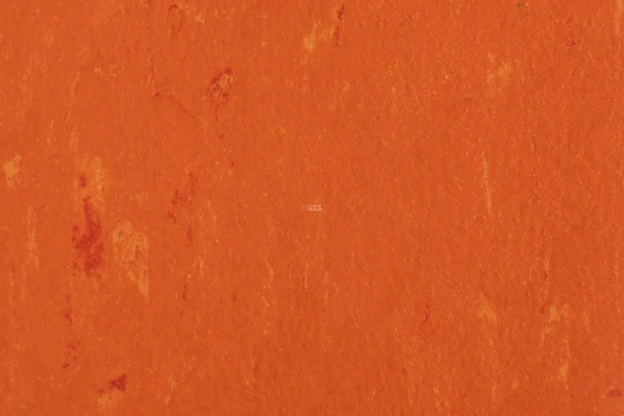 Forbo Marmoleum Solid Piano 3651-365135 zinnia фото 2 | FLOORDEALER