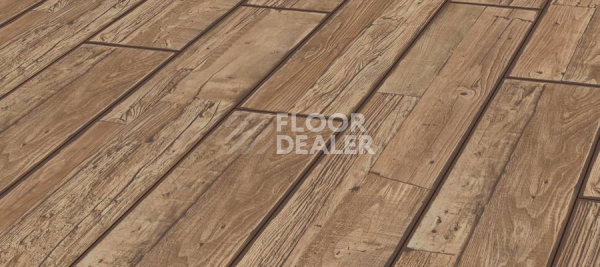 Ламинат Kronotex Exquisit 8мм d3225 Сосна Бейлиз фото 1 | FLOORDEALER