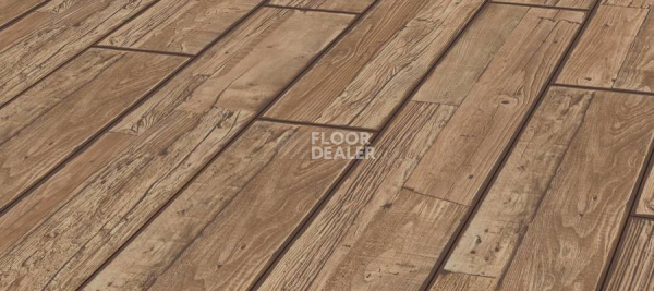 Ламинат Kronotex Exquisit 8мм d3225 Сосна Бейлиз фото 1 | FLOORDEALER