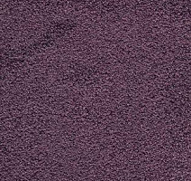 Ковролин AW Spirit 17 фото 1 | FLOORDEALER