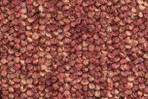 Ковролин Balsan Santa Fe DD Santa Fe dd 590 фото  | FLOORDEALER