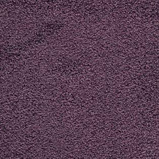 Ковролин AW Spirit 17 фото 1 | FLOORDEALER