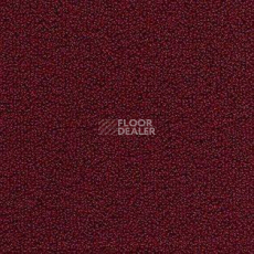 Ковролин AW Pearl 11 фото 1 | FLOORDEALER