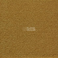 Ковролин Associated Weavers Continental 35 фото 1 | FLOORDEALER