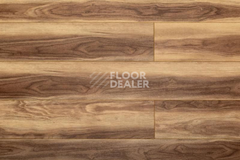 Кварцвиниловые полы Aquafloor Space Nuts XL AF4072NXL фото 1 | FLOORDEALER