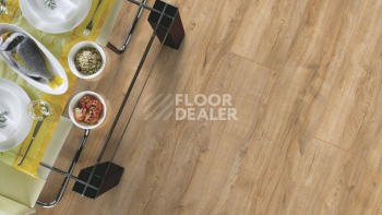 My Floor Cottage широкая 8мм mv856 Дуб Монтело Натуральный фото 11 | FLOORDEALER