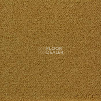 Ковролин Associated Weavers Continental 35 фото 1 | FLOORDEALER